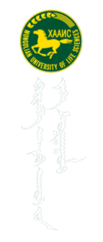 logo title